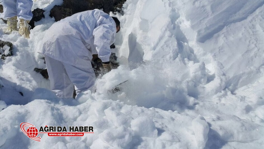 Tendürek'te operasyon 15 Mağara İmha Edildi