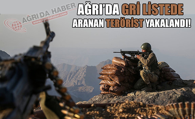 Ağrı'da Gri Kategoride Aranan Terörist Yakalandı!