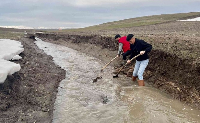 Ağrı'da etkili olan yağışlar çiftçilerin yüzünü güldürdü