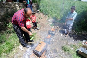 Hizan ilçesinde oy kullanan vatandaşlar, piknik için mesire alanlarına akın etti.