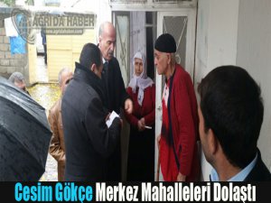 Ağrı Milletvekili Adayı Cesim Gökçe Merkez Mahalleleri Dolaştı