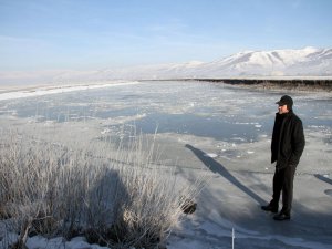 Ardahan'da soğuk hava nehiri dondurdu