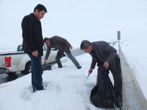 Muş'ta Doğaya Yem Bırakıldı