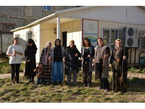 Hakkari ve Şemdinli'de Kadınlar Fidan Dikti