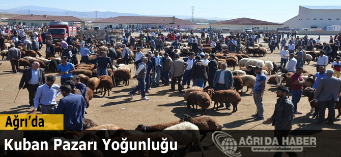 Ağrı Kurban Pazarında Bayram Öncesi Yoğunluk Yüksek