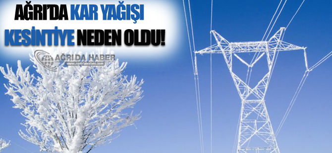 Ağrı'da Kar Yağışı Elektrik Kesintisine Neden Oldu