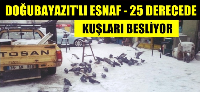 Doğubayazıt'lı Esnaflar -25 Derecede Kuşları Yemsiz Bırakmadı