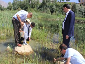 Hakkari'de Sülük Göleti'ne 15 Bin Sazan Bırakıldı