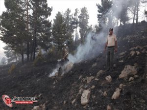 Sarıkamış'ta Orman Yangını